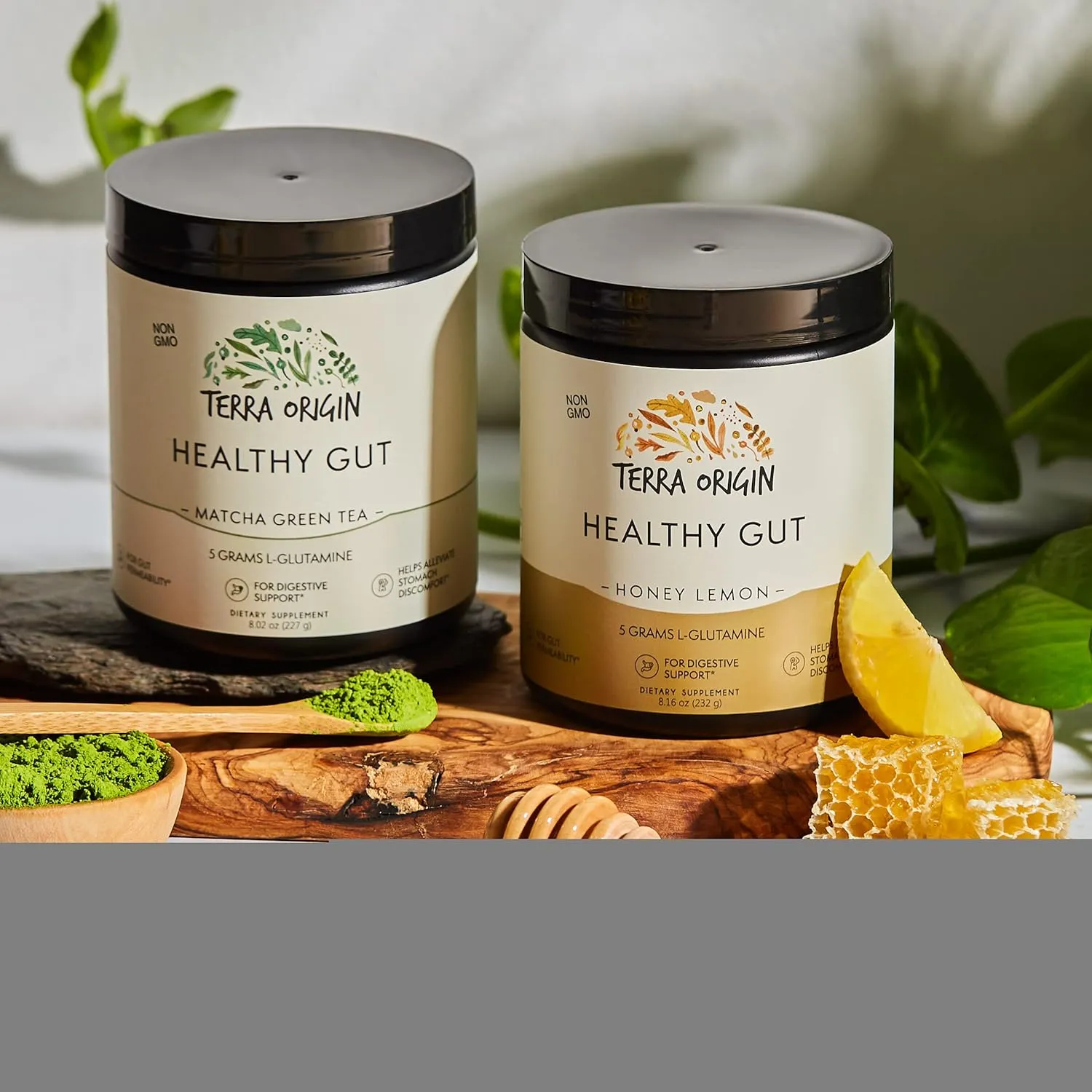 TERRA ORIGIN Healthy Gut Powder (Honey Lemon) | 30-Servings with L-Glutamine, Zinc, Glucosamine, Slippery Elm Bark and More!