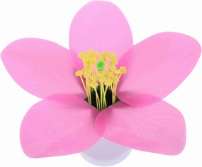 Totority Artificial Model Educational Tool for Biology Realistic Peach Blossom Teaching Resource for Middle and High School Lightweight Portable Flower Anatomy Demonstration