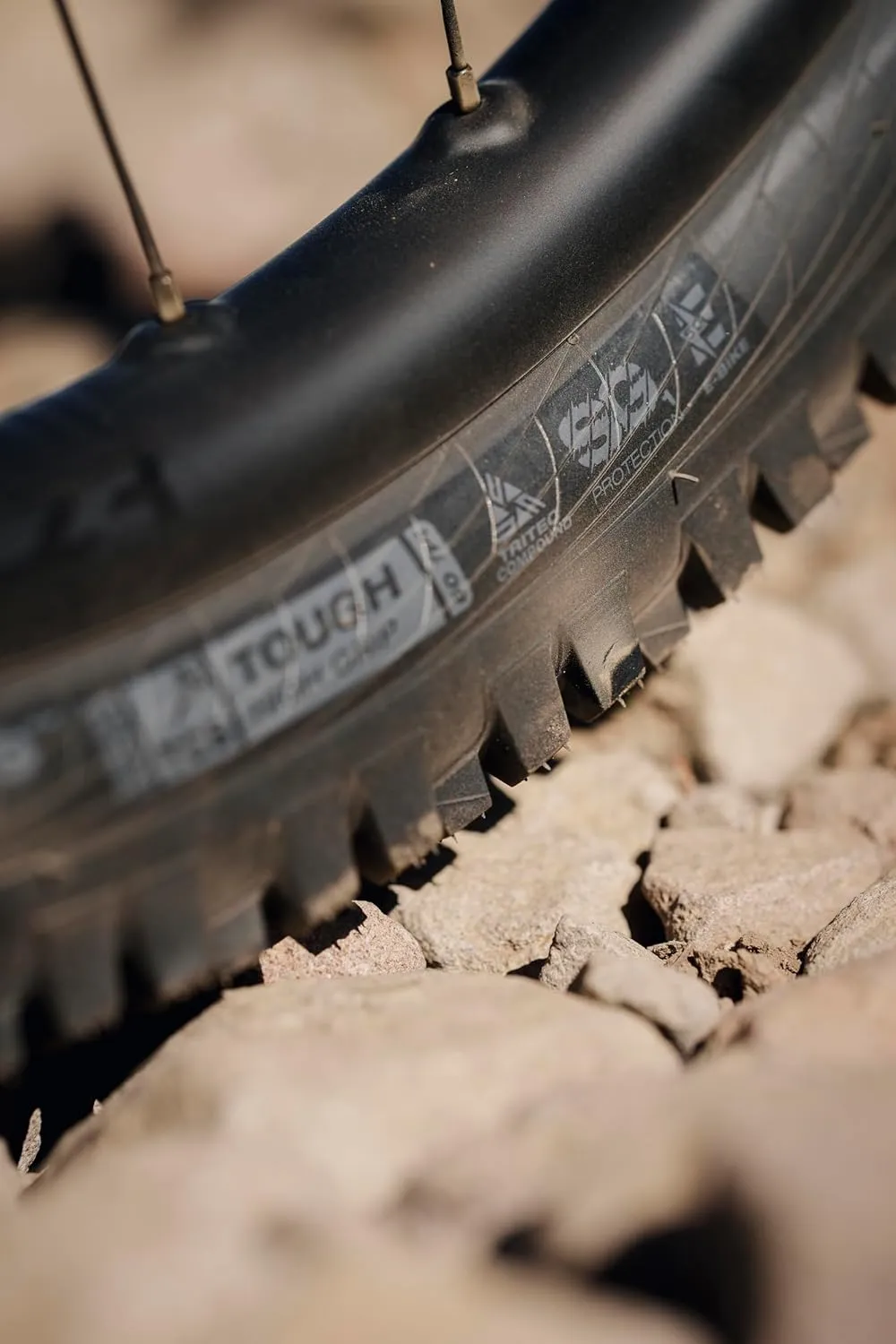 WTB Judge 2.4" Mountain Bike Rear Tire, Enduro & Gravity, Tubeless Ready Folding Bead, Available in 27.5" or 29", TriTec Compound, SG1 or SG2 Puncture Protection, High Grip for Wet & Loose Conditions