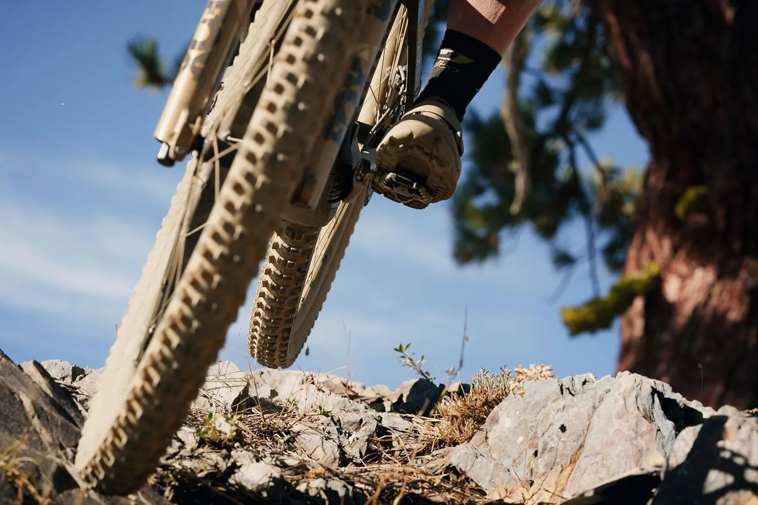 WTB Judge 2.4" Mountain Bike Rear Tire, Enduro & Gravity, Tubeless Ready Folding Bead, Available in 27.5" or 29", TriTec Compound, SG1 or SG2 Puncture Protection, High Grip for Wet & Loose Conditions